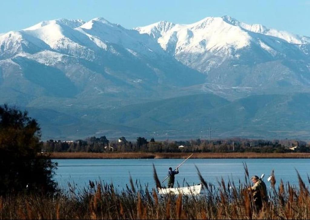 Coco - Camping Le Mar Estang Canet-en-Roussillon Zewnętrze zdjęcie